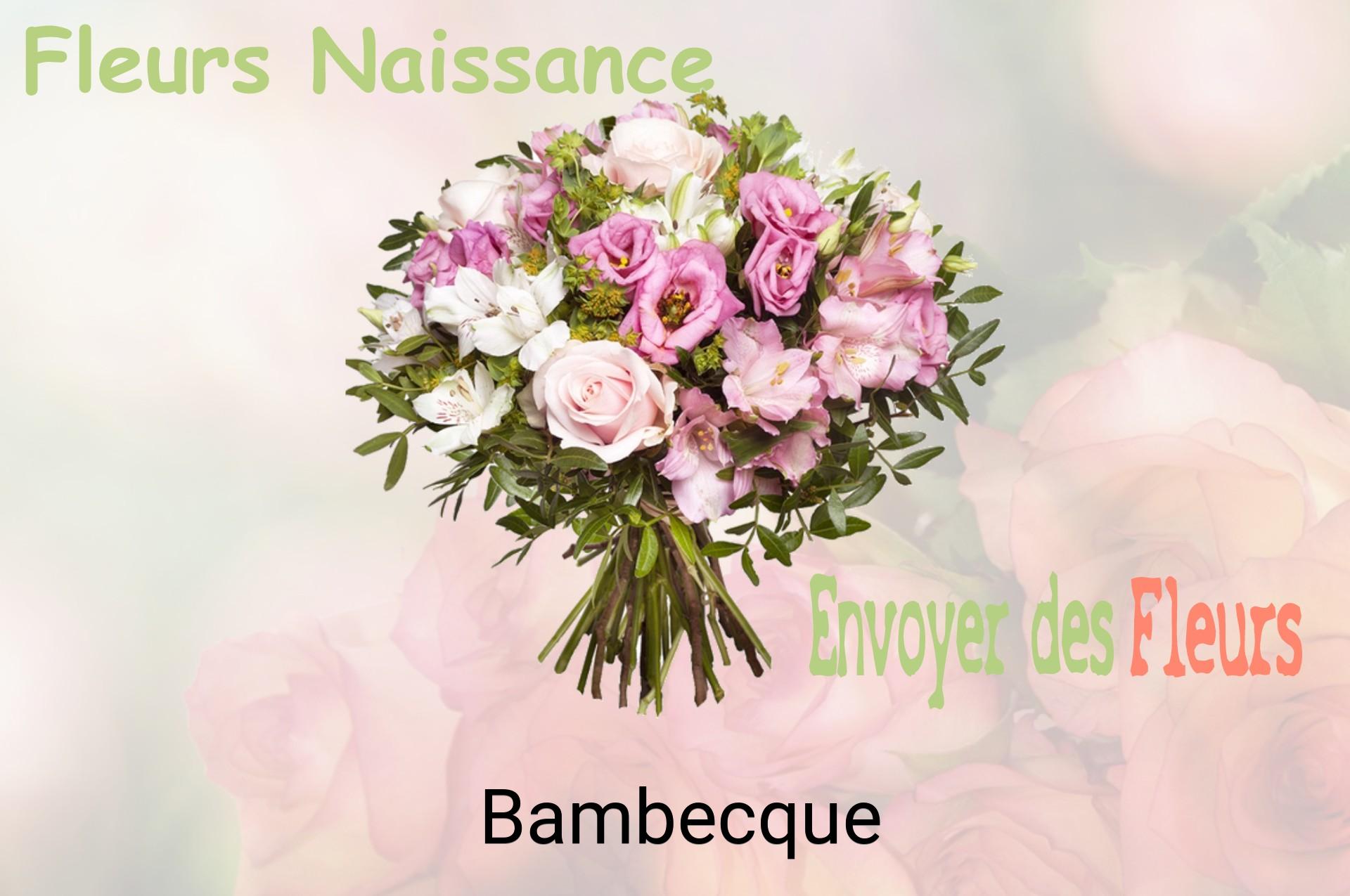 Bouquet de fleurs de naissance livré à Bambecque